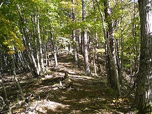 ��������i�ށ`