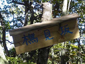 �u�i����