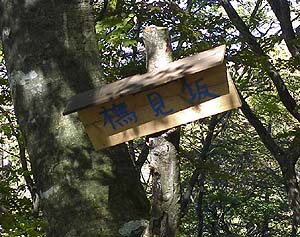 �u�i����