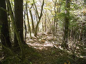 �������������̏������A������