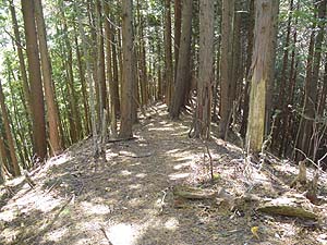 ���r�R�[�X(������)��i�񂾁B