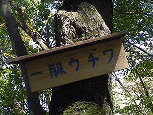 �ꕞ�E�`��