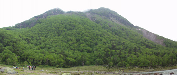 ���������R �ܐF�����