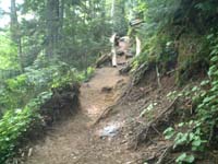 登山道はこんな感じ