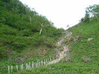 弥陀ヶ池からの登山道
