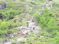 �o�R���͂���Ȋ���