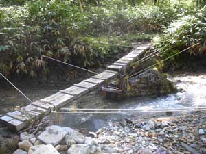 �n���m�L��