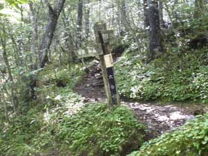 ����_�̒n����