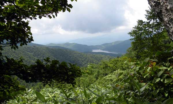 ����(����)�t�߂���̒���