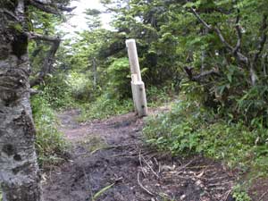 ����R�R��(2051m)