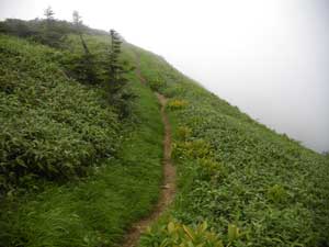 ���򂩂�̓o�R���B