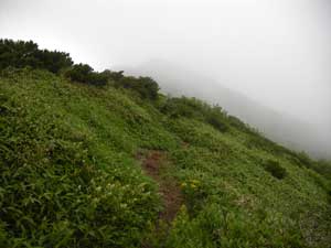 �����R���낤���`�H