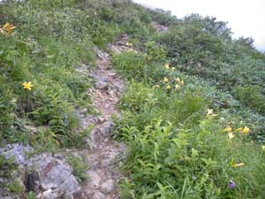 ���򃌃��[�t����̓o�R���B