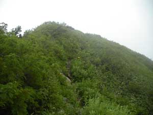 ������オ��ΎR���H