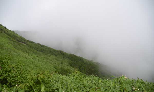 �K�X�ŉ��������Ȃ�