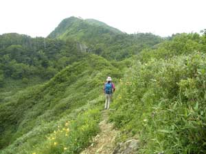 ���̃s�[�N���z����