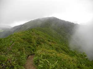 �Ő���i��