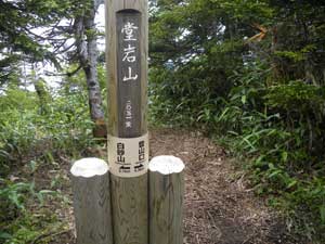 ����R�R���ɓ���