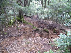 ���}�ȓ���Đ��ŉ����