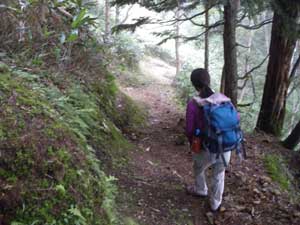 �k��搅���򂩂�̓o�R���B