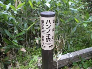 �n���m�L��