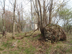 ��ԍ����ꏊ