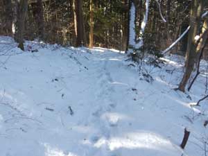 ���򂩂�̓o�R���B