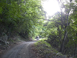 �I����ѓ�