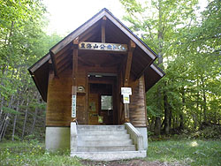 �g�C�����o�R�҃J�[�h�������������H