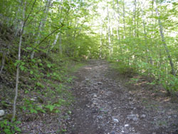 �X�^�[�g���Ē����̓o�R��