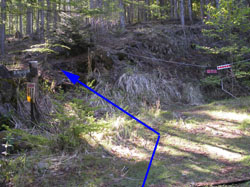 �ѓ�����т̒���