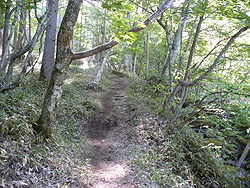 ���̕ӂ�̓o�R��