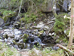 ���n���ēo�R����i�񂾁B