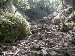 �͂��H�̓o�R��