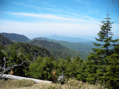 �����ʂ̒��߂̗ǂ��ꏊ