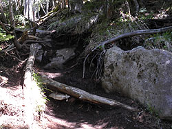 ���̕ӂ̓o�R��