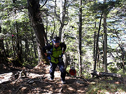 ���}�ȓo�R��