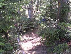 �R���t�߂̓o�R���B