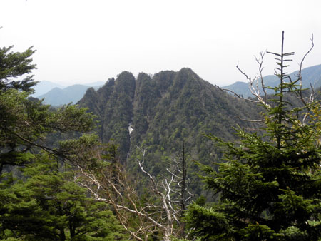 ���ꂩ��K��鋘�R�̗Y�p