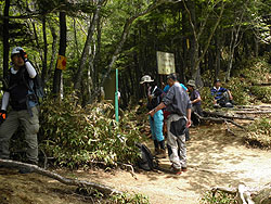 �s���̃R��