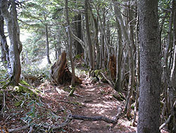 ��������i�񂾁B