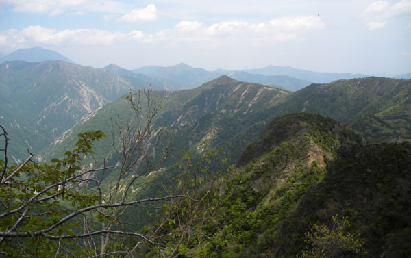 �R������̒���