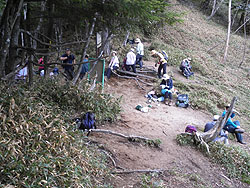 �s����̃R��