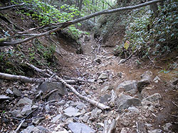 �͂��H�̂��}�ȏꏊ