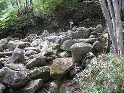 �͂��H�̏I���