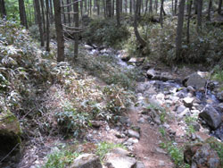 �򉈂��̓o�R����i�ށB