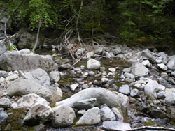 �o�R���͑��n��