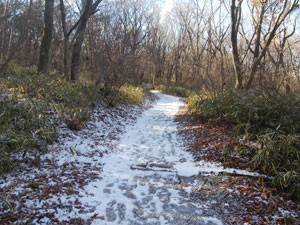 �o�R������̓�