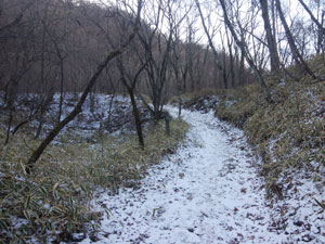 �o�R������̓�