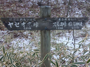 登山口からの道